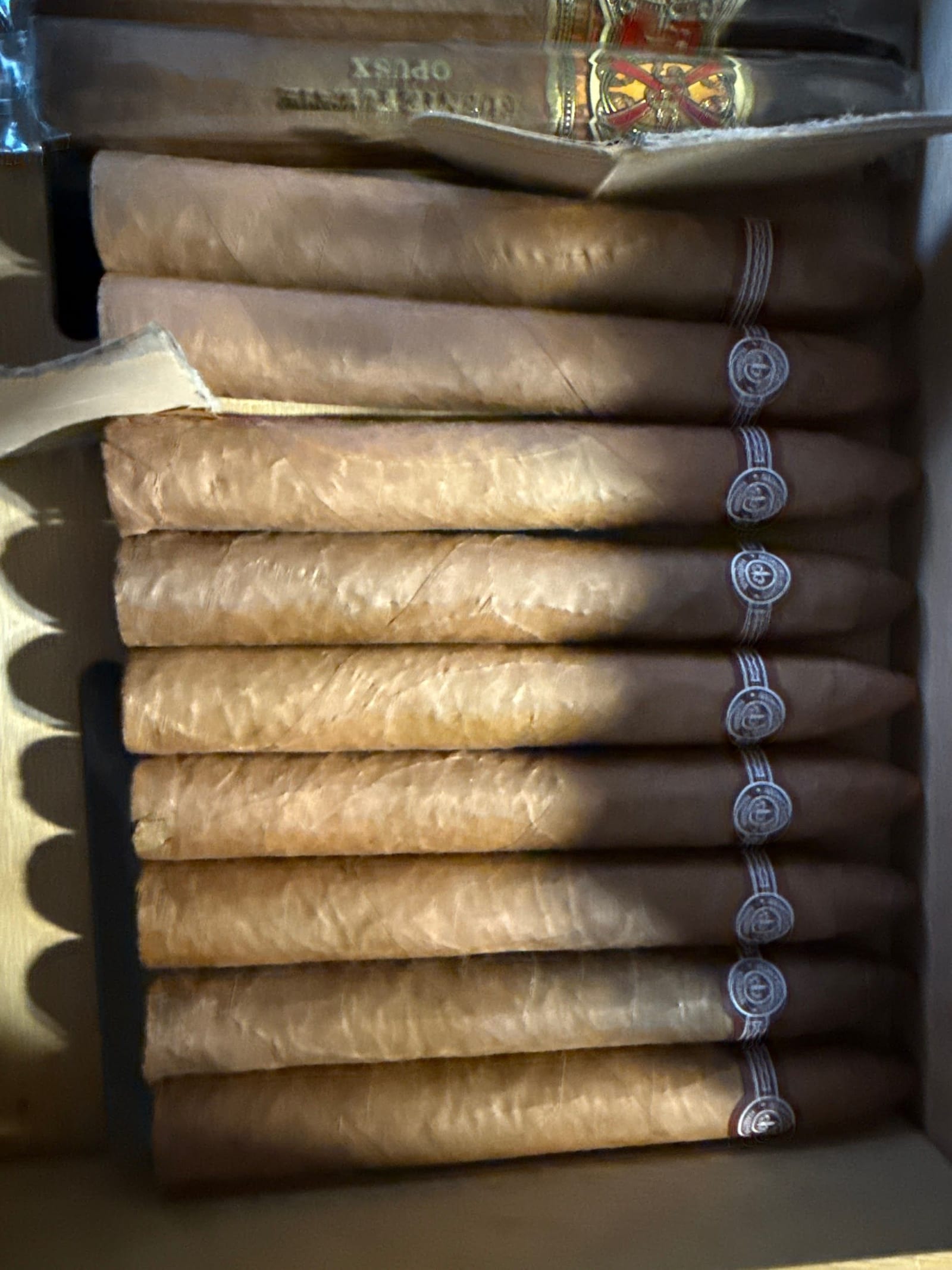A row of vitolas, the same band, different shapes